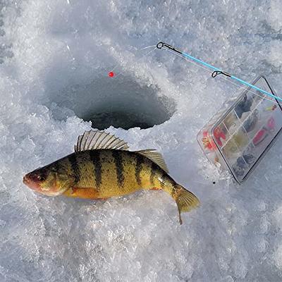 2 Section Ice Fishing Rod Mini Portable Ice 50Cm Short Fishing Rod