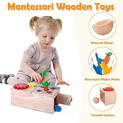  KMTJT Montessori Toys for 1 2 3 Year Old Toddlers, Carrot  Harvest Game Wooden Toy for 12 18 Months Baby Boys and Girls, Educational  Learning Shape Sorting Matching Easter Gifts for