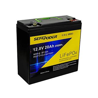DEESPAEK LiFePO4 Battery 12V 60Ah Lithium Battery with Upgarded BMS,  Rechargeable Deep Cycle Lithium Iron Phosphate Batteries, Perfect for  Marine