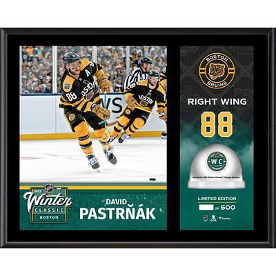 Linus Ullmark & Jeremy Swayman Boston Bruins 4 x 6 Hug It Out 3D Acrylic  Block