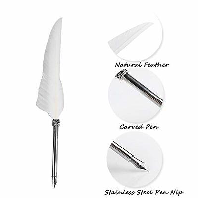 Feather Quill Pen & Ink Set-Decorated Silver Metal Dip Pen