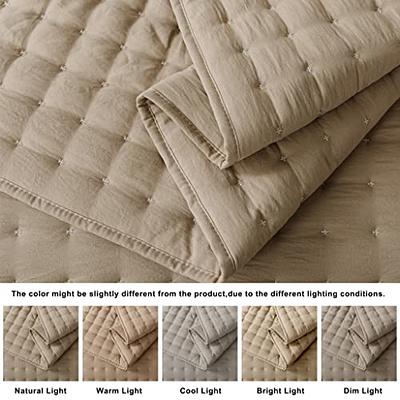 WDCOZY Beige Queen Size Quilt Bedding Sets with Pillow Shams, Cream Tan  Lightweight Soft Bedspread Coverlet, Quilted Blanket Thin Comforter Bed  Cover