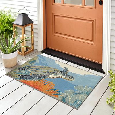 allen + roth 2-ft x 3-ft Black Rectangular Indoor Door Mat in the