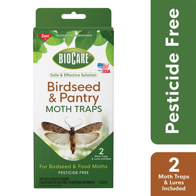 BugMD Pantry Pest Patrol (6 Count) - Moth Traps for Kitchen, Pantry Moth  Trap, Kitchen Moth Trap 