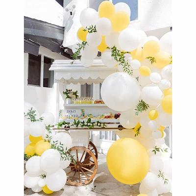 Pastel Rainbow Balloon Decor Package – Mommy and Balloons