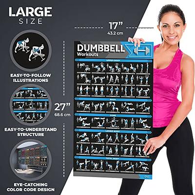 NewMe Fitness Workout Posters for Home Gym, Dumbbell Exercise