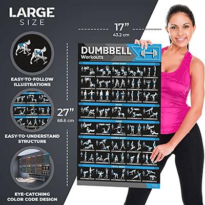 NewMe Fitness Dumbbell Workout Exercise Poster - Laminated