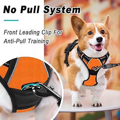 BARKBAY No Pull Dog Harness 3 Buckles Front Clip Heavy Duty Reflective –  BARKBAY PET