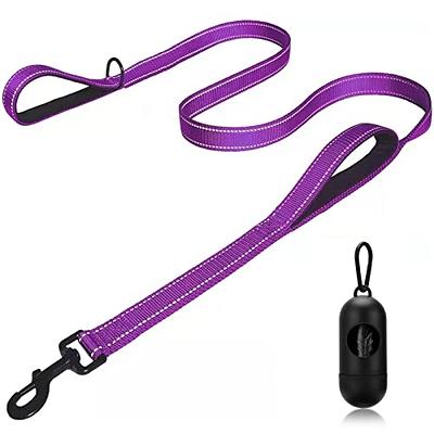DogGoods Do Good The Everything Leash + Fanny Pack Dog Leash
