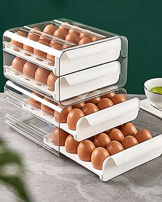 32 Egg Holder for Refrigerator, Large Capacity Egg Container for  Refrigerator, 2 Layers Clear Plastic Egg Fresh Storage Box for Fridge,  Upgrade Egg Storage & Egg Tray 