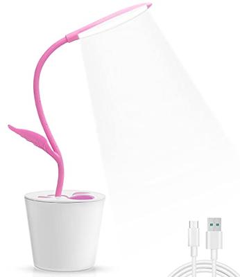 LED Table Lamp,Portable Eye-Protected Flexible Gooseneck Small