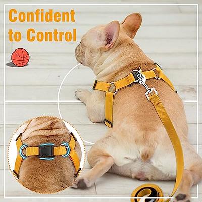 BEAUTYZOO No Pull Small Dog Harness and Leash Set, No Chock Puppy Step in  Vest Harness Nylon Lightweight Neck&Chest Adjustable for Dogs Girls and  Boy