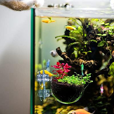 2PCS aquarium plants live Suction Cups Plants Pots Glass Aquarium Plant  Cups