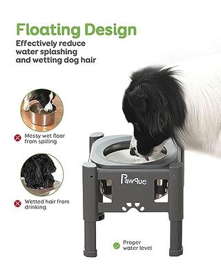 Pawque Slow Feeder Dog Bowls Elevated Dog Food Bowls, Adjustable