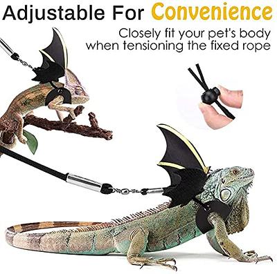 Bearded Dragon Bowtie Hat Lizard Leash with Harness Reptiles Small Pets  Animals