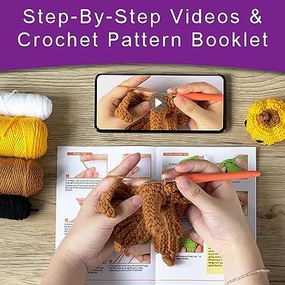 Crochet Kit for Beginners Crochet Starter Kit Animal Crochet Kit with Video  Instructions Halloween Pumpkin Crafts Bag Decorate Gift for Adult (Candy  Bag House) - Yahoo Shopping
