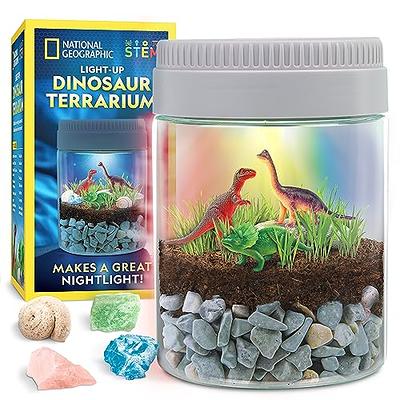 NATIONAL GEOGRAPHIC Dinosaur Terrarium Kit for Kids – Multicolor