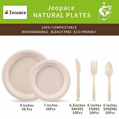 Sol-Eco Compostable Paper Plates, 350 PCS Heavy-Duty Compostable Plates,  Party Paper Plates (10 inch & 7 inch) Forks, Knives, Spoons, Cups & Napkins