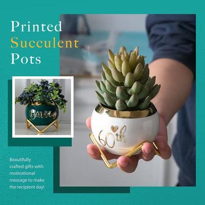 PeraBella Gifts for Christmas for Mom, Presents for Christmas, Christmas  Succulent Tree Planters, Mom Gifts, Aunt Gifts, Bestie Sister Grandma Gifts,  Gifts for Her (Merry Christmas Succulent Pots) 