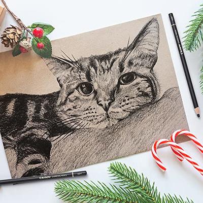 LUCYCAZ Drawing Sketch Set with Sketching, Graphite and Charcoal Pencils,  Art Kit and Supplies for Kids, Teens and Adults