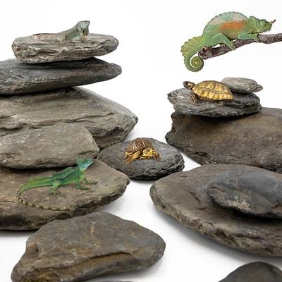KINGRUI Natural Aquarium Rocks Slate Rock, 3 to 8 inches, Suitable for  Aquarium Landscaping Models, Fish Tank Decoration, and Fairy Gardens,  Reptile and Amphibian enclosures (11lb) - Yahoo Shopping