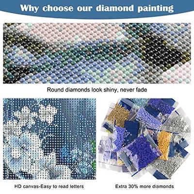 Suyaloo 5D Diamond Painting Kits for Adults - Diamond Art Kits for Adults  Kids Beginner,DIY Fantasy Mushroom Diamond Painting Full Drill Round