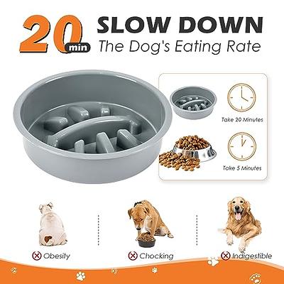 LeonardCreek Elevated Dog Bowls with 2 Stainless Steel Bowls - Adjustable  Feeding Station for Small, Medium and Large Dogs - Promotes Better  Digestion