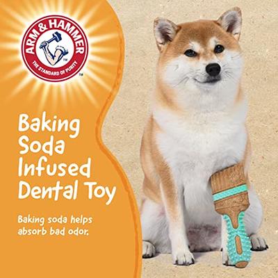 Arm & Hammer for Pets Chew Tools Collection: Wood Blend Paintbrush Chew Toy  for Dogs