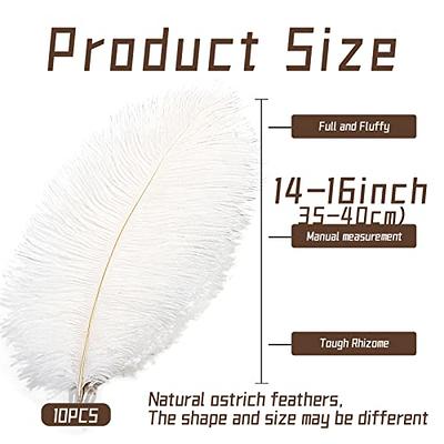 White Large Feathers for Vase and Centerpieces: 24 Pcs 10-12 Inches Ostrich  Feathers Bulk, Boho Large Feathers for Centerpieces, Vase, Wedding Party  and Home Decoration - Yahoo Shopping