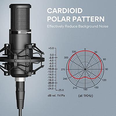 XLR Condenser Microphone, Professional Cardioid Studio Recording Mic for  Streaming, Podcasting, Singing, Voice-Over, Vocal, Home-Studio, 