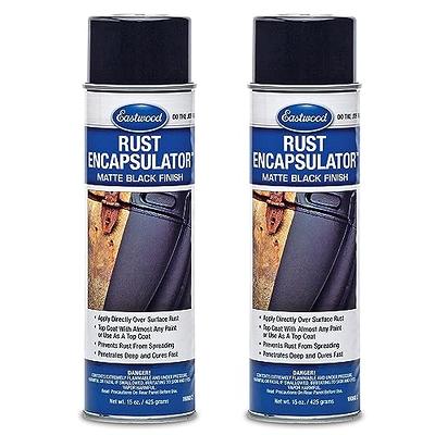Eastwood Rust Encapsulator Aerosol, Quick Drying with UV Resistance and  Heat Resistance up to 400 Degrees Fahrenheit, 15 Oz, Black