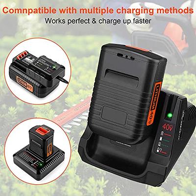 BLACK+DECKER 40V MAX Lithium Battery, Compatible with 36V and 40V MAX Power  Tools, Lithium Ion Technology, Charger Not Included (LBX2040)