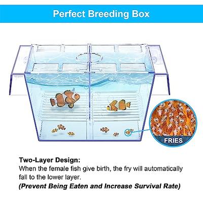 Breeding Box Fish Hatchery Fish Incubator Fry Fish Egg Incubator Fish  Farming Cichlid Instead Mouth-Brooding