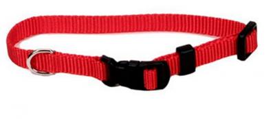 Coastal Pet Metal Buckle Nylon Personalized Dog Collar in Red, 3/4