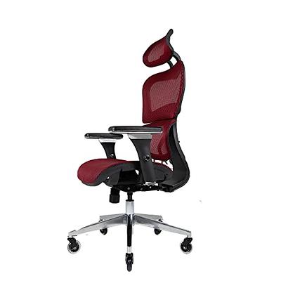 Ergonomic Office Chair with Lumbar Support Mesh Chair with Wheels Rolling Swivel  Back Support Adjustable Executive