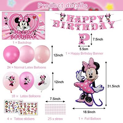 Minnie Mouse theme party birthday decoration banner plates cover cups