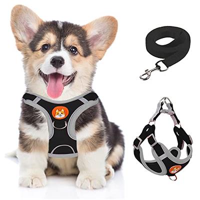 Kurgo Impact Dog Car Harness - Black/Charcoal - Small - Yahoo Shopping