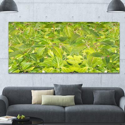 Large Canvas Art - Bed Bath & Beyond