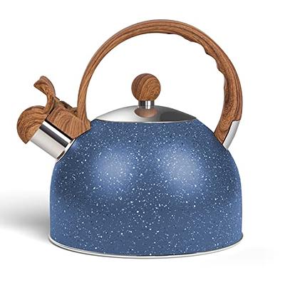 Elitra Stove Top Whistling Fancy Kettle - Stainless Steel Tea Pot with  Ergonomic Handle - 2.7 Qt / 2.6 L - Black 