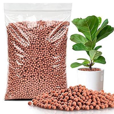  Rurtsva Natural Organic Clay Pebbles, 5LBS 8mm-18mm