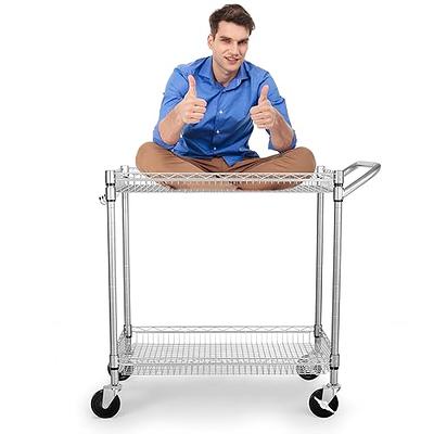 Leteuke 2 Tier Utility Cart with Wheels, NSF Listed 900LBS Commercial Grade  Heavy Duty Rolling Utility Carts with Handle Bar,Metal Storage Cart Silver