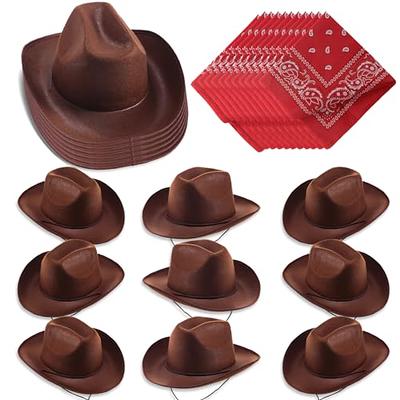 Country Hat, Brown Halloween Costume Accessory
