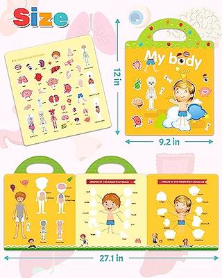 Reusable Sticker Books For Toddlers Age 1 2 3, Space, My Body And