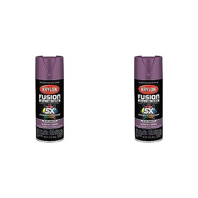 Krylon K02719007 Fusion All-In-One Spray Paint for Indoor/Outdoor Use,  Gloss Purple 12 Ounce (Pack of 1)