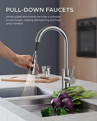 Forious Kitchen Faucet With Pull Down