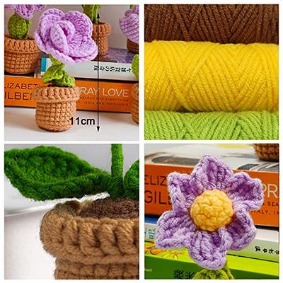 Chiikimu Beginner Crochet Kit with Beginner Easy Yarn, Crochet