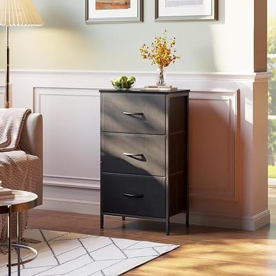 Dresser For Bedroom Nightstand Small Dresser Chest Of Drawers End Table For  Living Room, Closet Dresser With 2 Storage Drawers Organizer Clothes