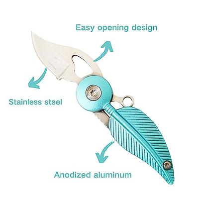 SWBIYING Pocket Knives & Folding Knives,Mini Pocket Knife for Women,Small  Pocket Knife,Edc Knife with Chain,Cool Knives,Cool Gadgets,Cute Key  Accessories(Blue) - Yahoo Shopping