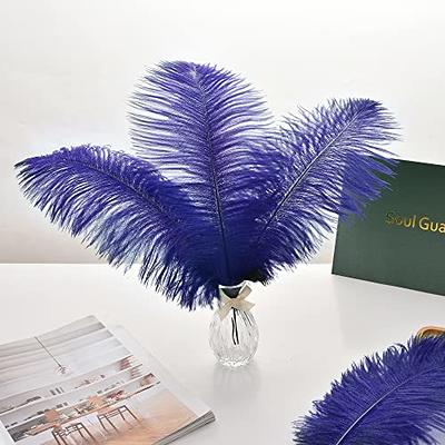 Ballinger Champagne Ostrich Feathers Bulk - 24pcs 10-12inch Boho Feathers for Vase and Home Decor Wedding Party Centerpieces