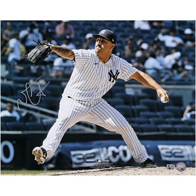 Don Mattingly New York Yankees Fanatics Authentic Autographed Baseball and  Mahogany Baseball Display Case